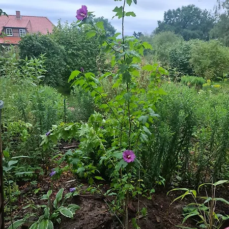 Kleines Blockbohlenhaus Als Ferienwohnung Oder Dauervermietung * Karwitz